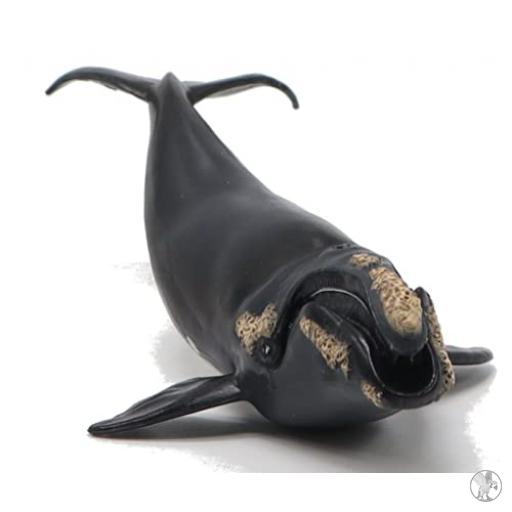 Papo Ballena Boreal (Universo marino)