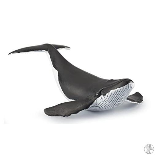 Papo Ballenato / Cria de Ballena (Universo marino)