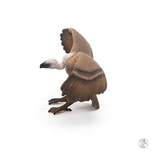 Papo Buitre (Vida silvestre)