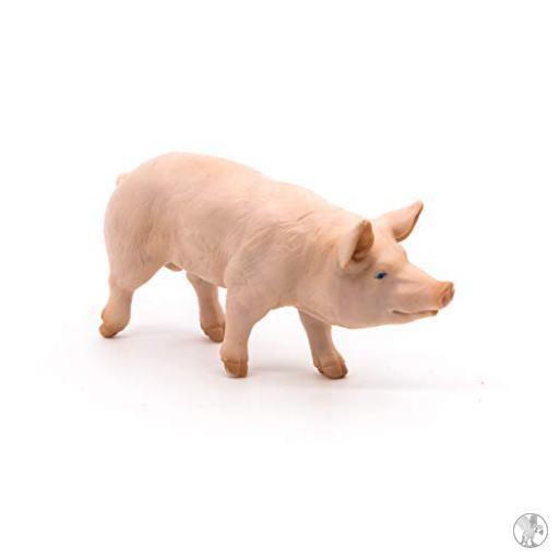Cerdo
