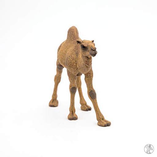 Papo Dromedario (Vida silvestre)