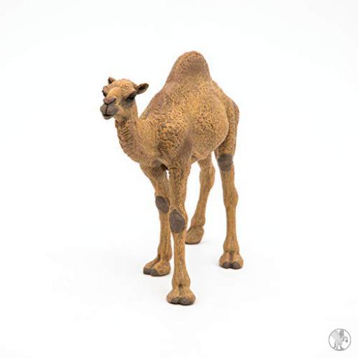 Papo Dromedario (Vida silvestre)
