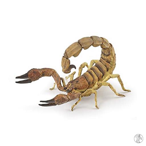 Papo Escorpion (Vida silvestre)