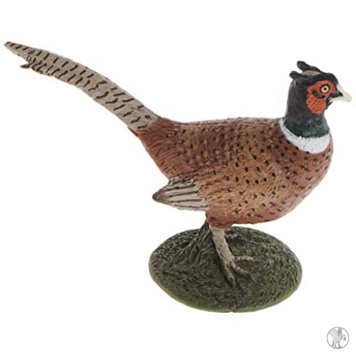 Papo Faisan (Vida silvestre)