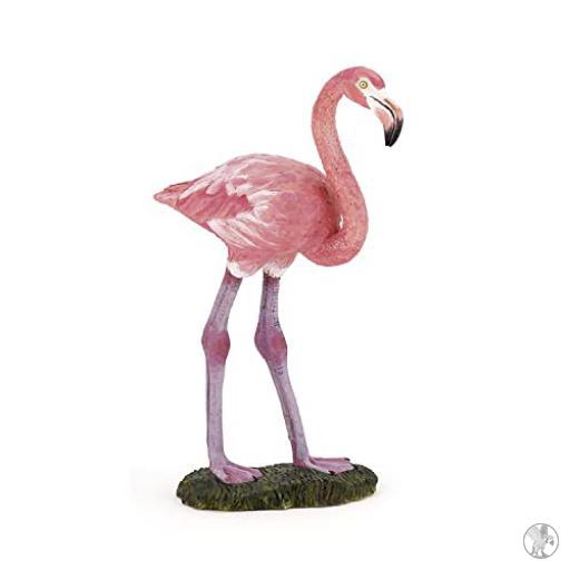 Papo Flamenco Comun (Vida silvestre)