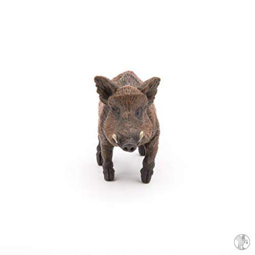 Papo Jabalí (Vida silvestre)