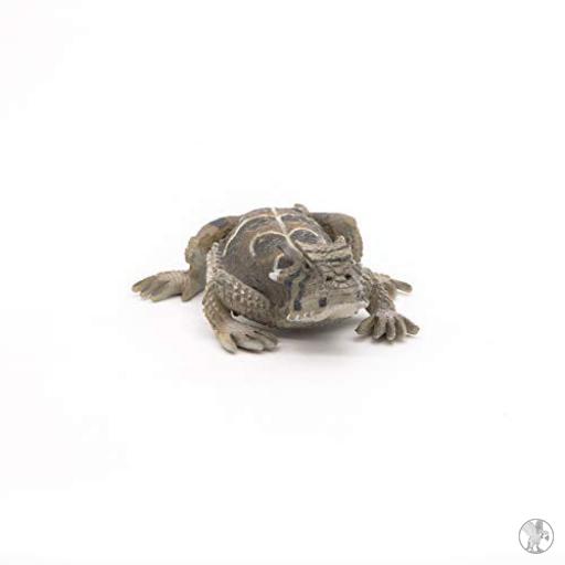 Papo Lagarto Cornudo (Vida silvestre)