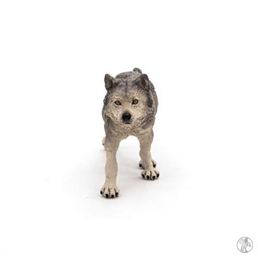 Papo Loba gris (Vida silvestre)