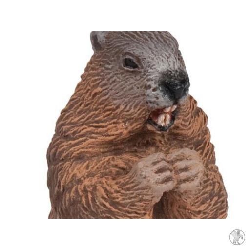 Papo Marmota (Vida silvestre)