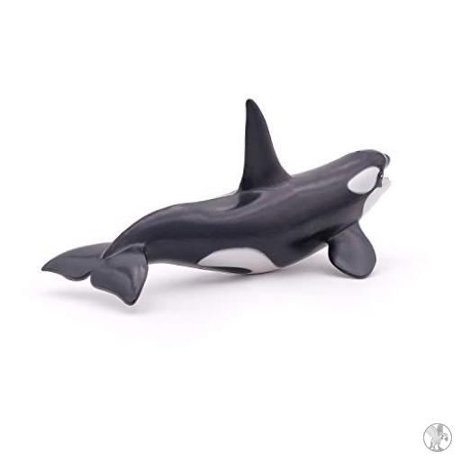 Papo Orca (Universo marino)