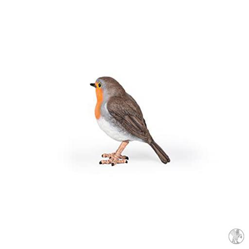 Papo Petirrojo ( Animales de nuestros jardines)