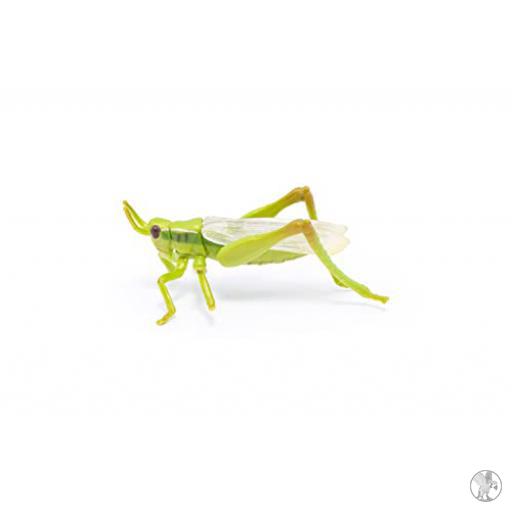 Papo Saltamontes ( Animales de nuestros jardines)