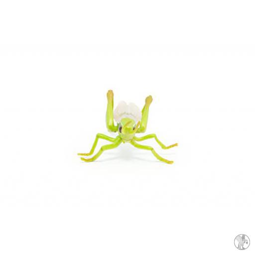 Papo Saltamontes ( Animales de nuestros jardines)
