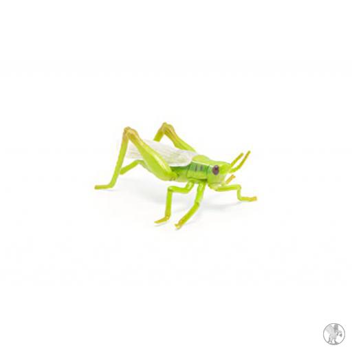 Papo Saltamontes ( Animales de nuestros jardines)