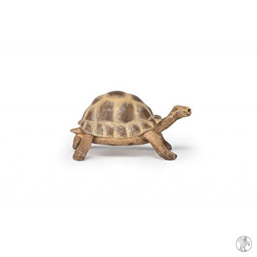 Papo Tortuga de Hermann (Vida silvestre)