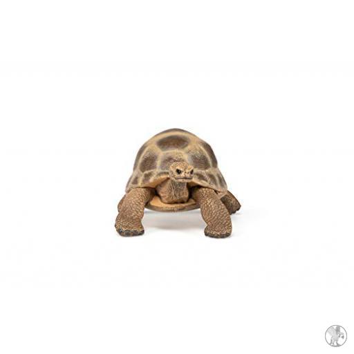 Papo Tortuga de Hermann (Vida silvestre)