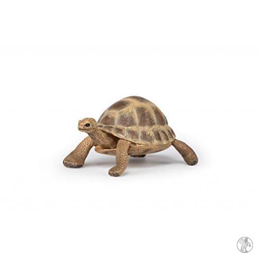 Papo Tortuga de Hermann (Vida silvestre)