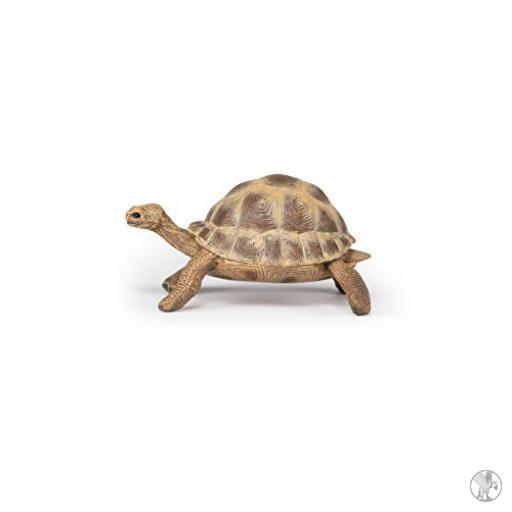 Papo Tortuga de Hermann (Vida silvestre)
