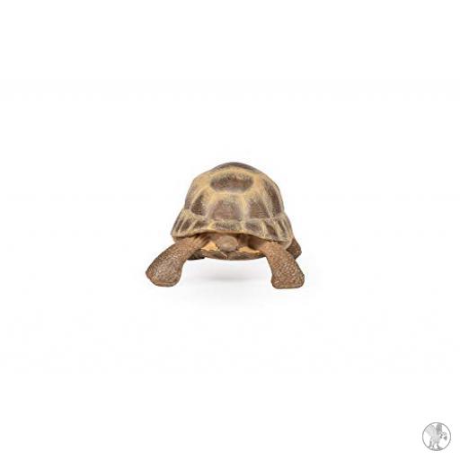 Papo Tortuga de Hermann (Vida silvestre)
